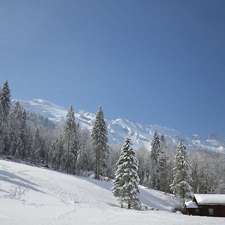 Apartment Chalet Heureka-Horbis By Interhome Энгельберг Экстерьер фото